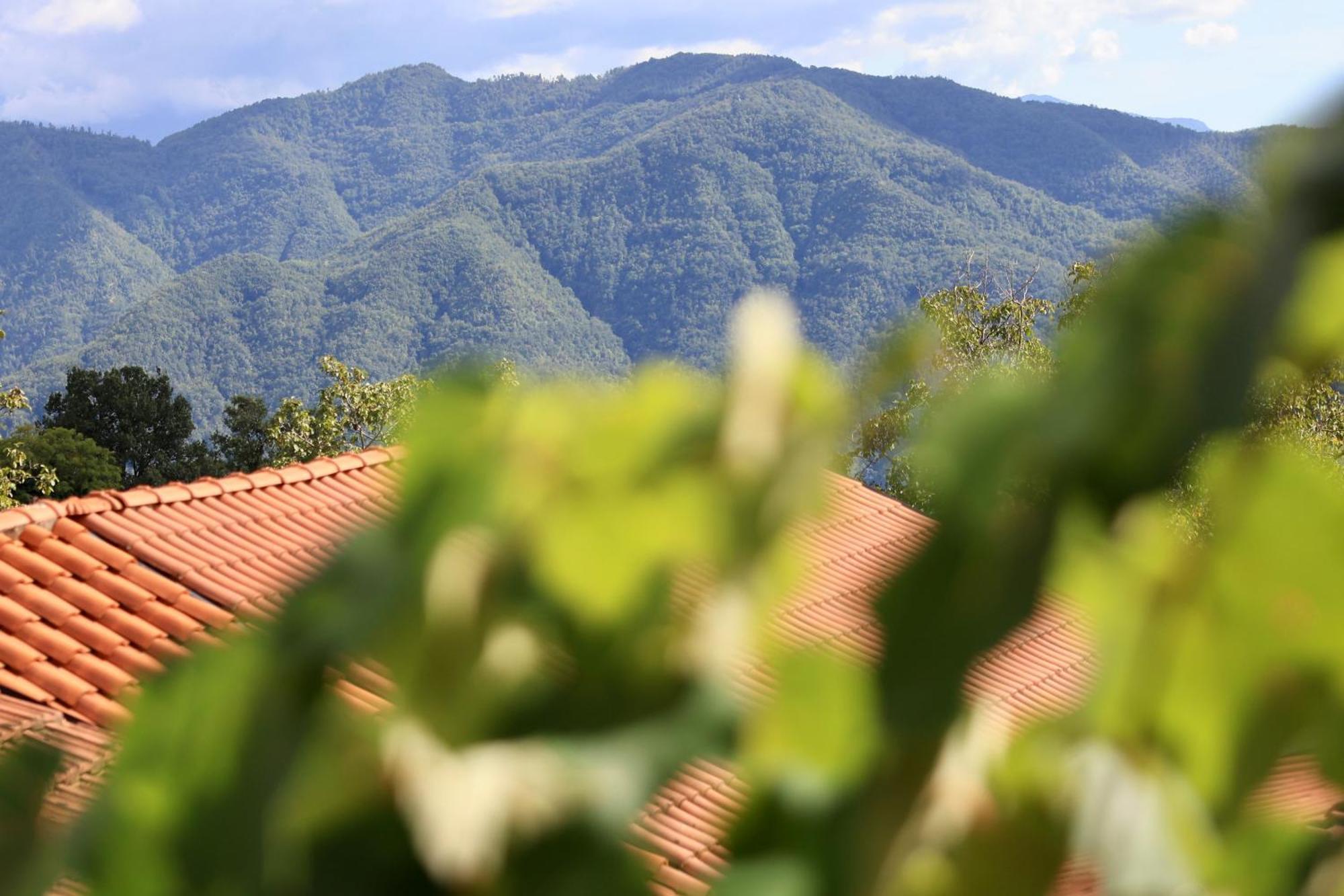 Agriturismo Montagna Verde Apella Licciana Nardi Bagian luar foto